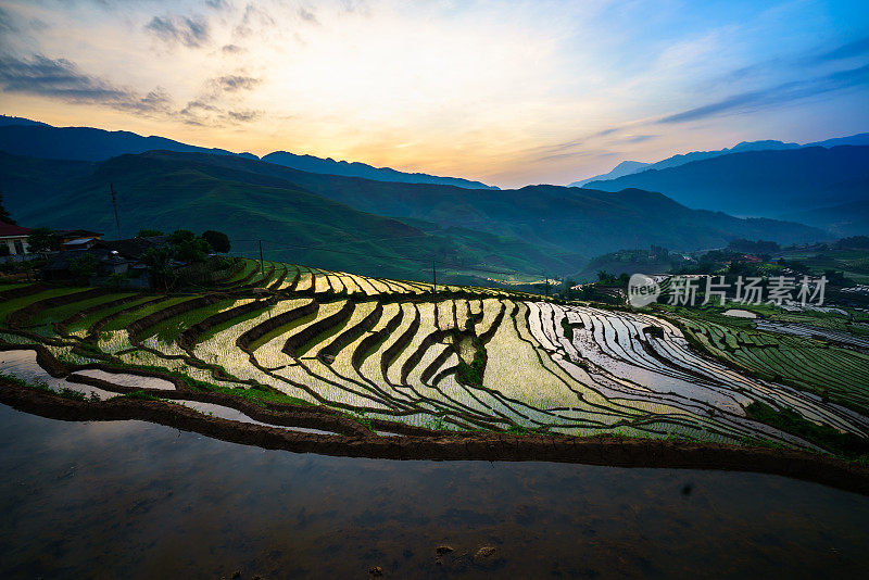 在越南老蔡省Y Ty的梯田里，水季的早上，开始种植水稻的时间
